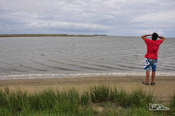 Procurando pássaros no Parque Nacional da Lagoa do Peixe, no sul do Rio Grande do Sul, entre a Lagoa dos Patos e o Oceano Atlântico